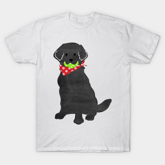 Cute Preppy Black Lab - Tennis Balls In Mouth T-Shirt by emrdesigns